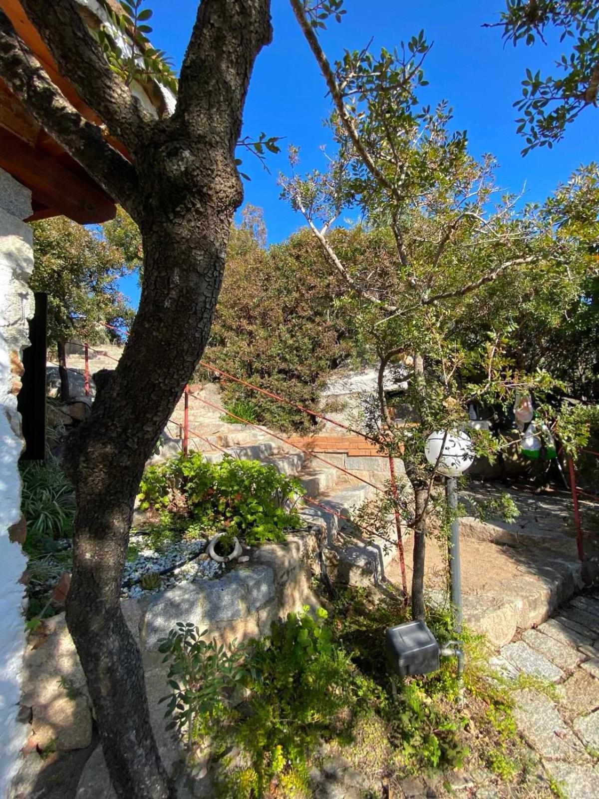 Vila Sa Domu De Orri Al Mare Tortolì Exteriér fotografie