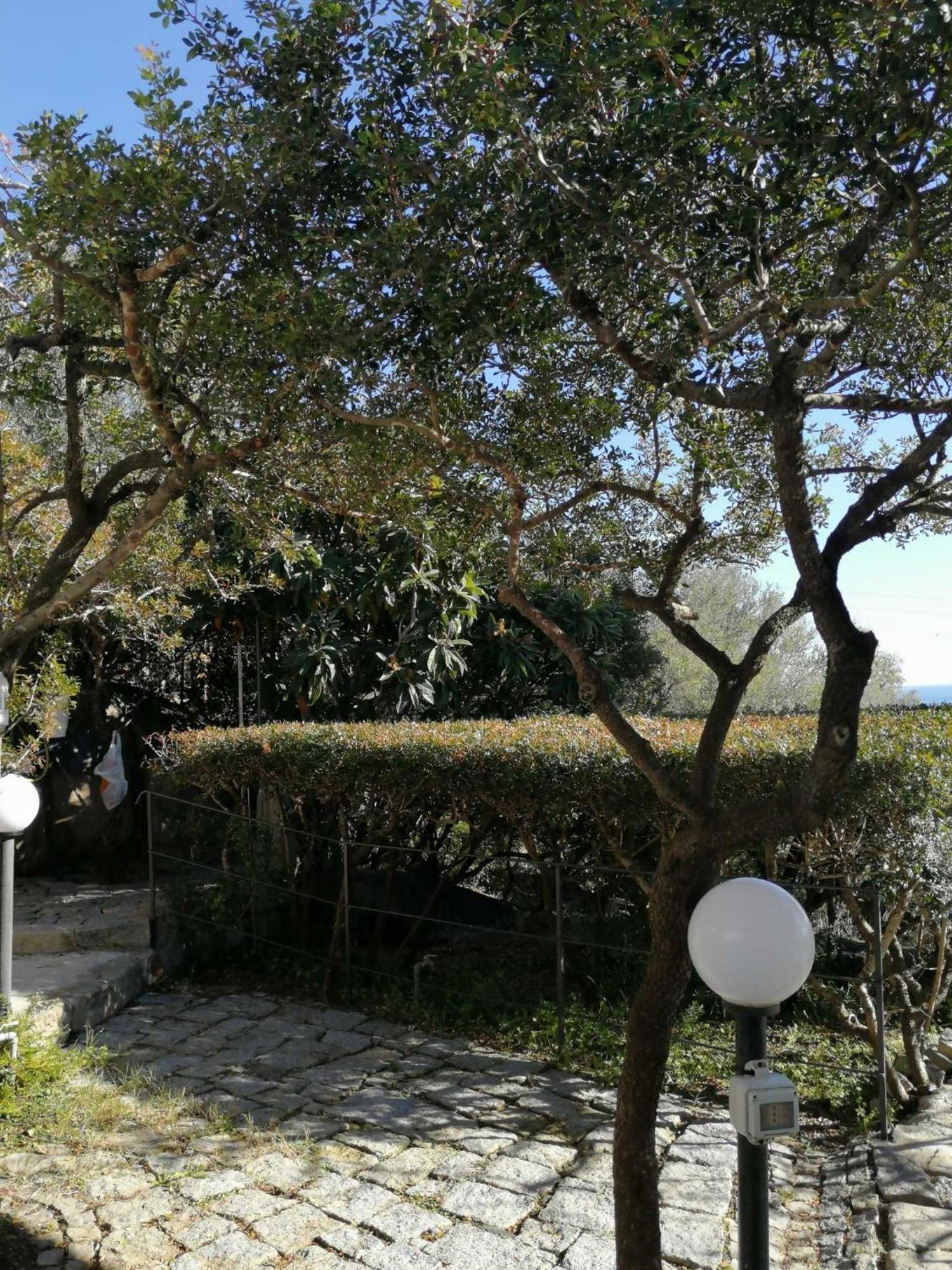 Vila Sa Domu De Orri Al Mare Tortolì Exteriér fotografie