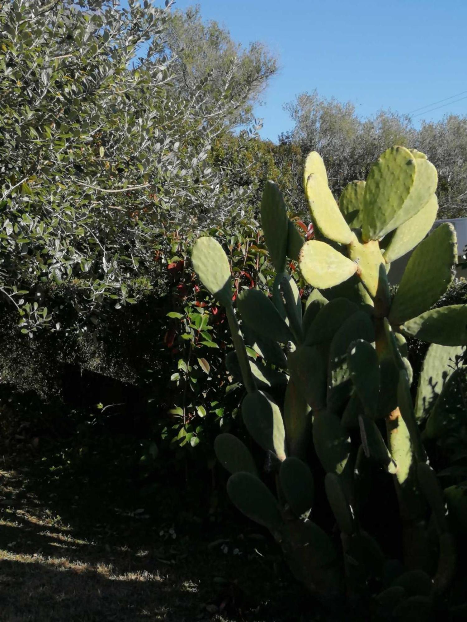 Vila Sa Domu De Orri Al Mare Tortolì Exteriér fotografie