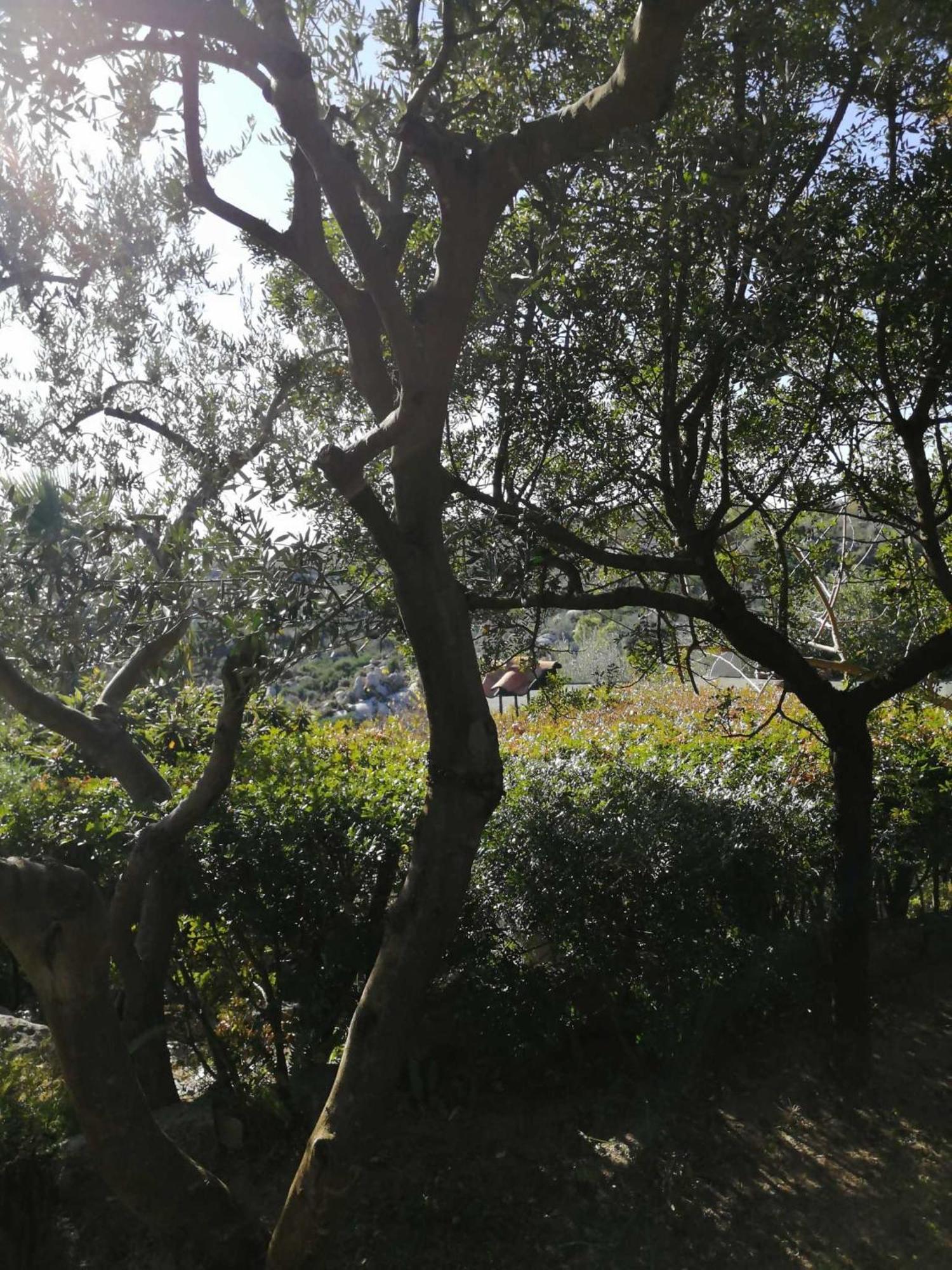 Vila Sa Domu De Orri Al Mare Tortolì Exteriér fotografie